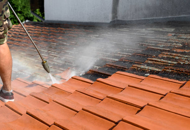 Best Power Washing Near Me  in New Richmond, WI